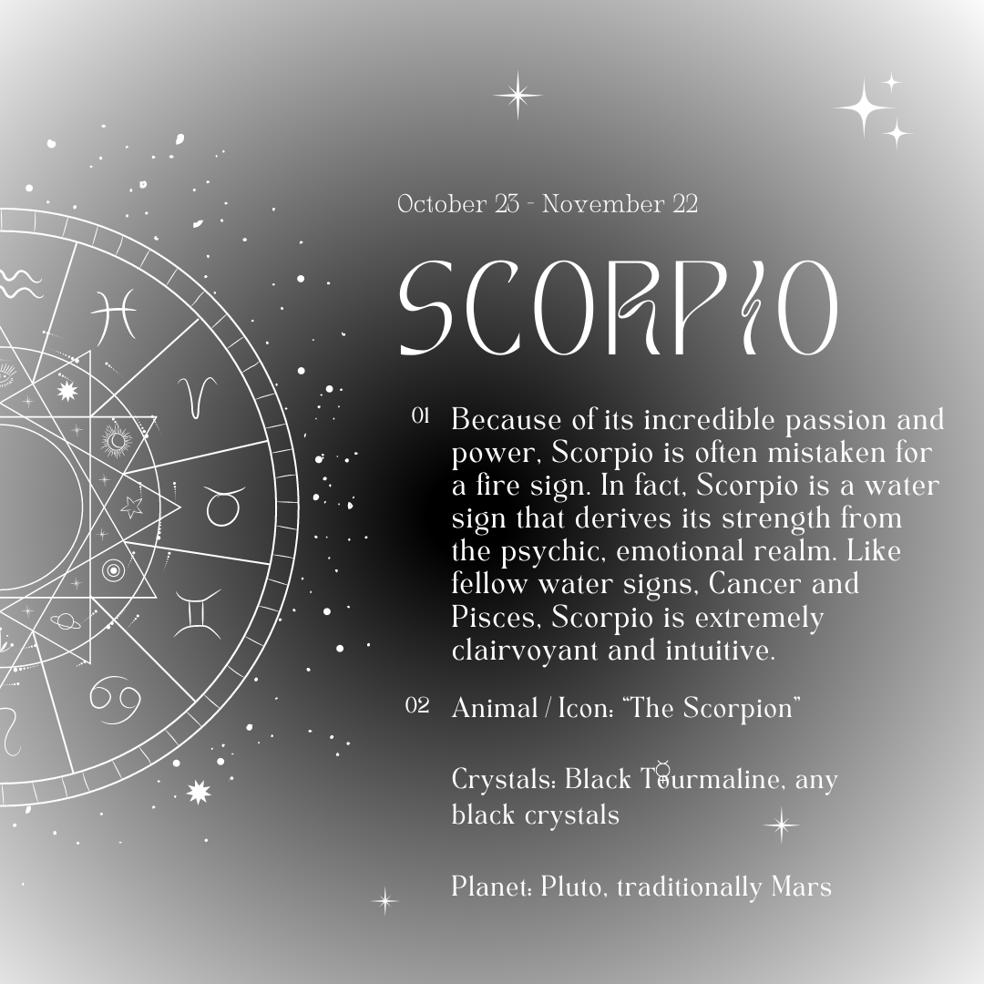 Scorpio Season 2023 + Horoscopes – Birthdate Co.