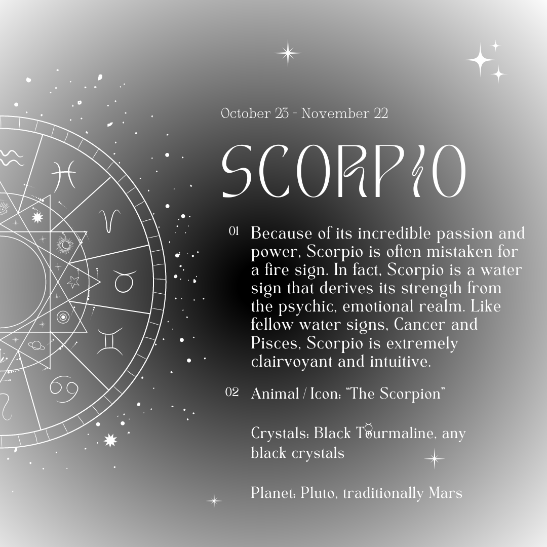 Scorpio Season 2023 + Horoscopes